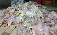 Bắt quả tang cơ sở sơ chế 2 tấn gà chết hôi thối giá 4.000 đồng/kg làm giò chả