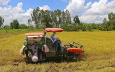Phát triển lúa chất lượng cao gắn với giảm phát thải