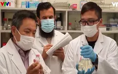 Tìm ra chất ức chế tế bào ung thư từ lúa gạo