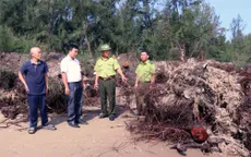 Hà Tĩnh: Sớm có giải pháp khắc phục tình trạng biển xâm thực