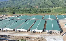 Ống nhựa Hoa Sen ghi dấu ấn thương hiệu trên khắp mọi miền Tổ quốc