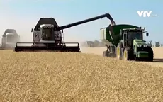 Sáng kiến mới về lúa mì Nga nhằm hỗ trợ giải quyết khủng hoảng lương thực