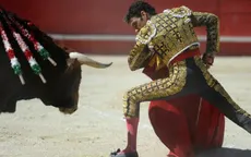 Ý kiến trái chiều trong cuộc tranh luận về lệnh cấm đấu bò tại Pháp