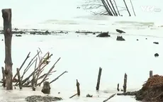 Cà Mau: Người dân bị mất sinh kế do sạt lở bờ biển
