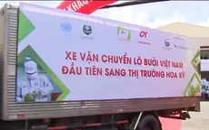 Nhộn nhịp thị trường xuất khẩu nông sản