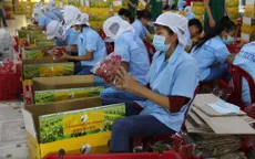 Thúc đẩy tăng trưởng xuất khẩu Việt Nam - Trung Quốc