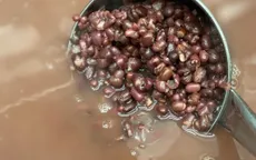 Đậu đỏ với người Hàn Quốc: Món ăn xoa dịu tâm hồn