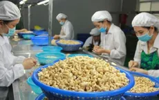 Ngành điều điều chỉnh mục tiêu tăng trưởng