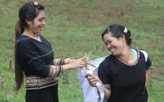Hỗ trợ sinh kế cho phụ nữ và đồng bào dân tộc thiểu số ở tỉnh Đắk Lắk