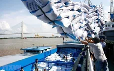 Việt Nam sẽ làm gì để đảm bảo an ninh lương thực quốc gia?