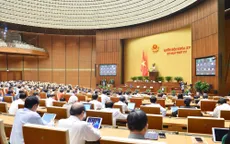 Ngày 10/11, Quốc hội thảo luận về dự án Luật Bảo vệ quyền lợi người tiêu dùng (sửa đổi)
