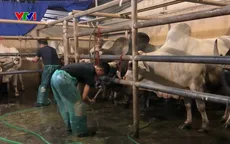 Kiểm soát động vật nhập khẩu còn nhiều lỗ hổng