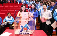 Tăng cường số lượng Ủy viên BCH Trung ương Đoàn ở các vị trí, địa bàn, lĩnh vực quan trọng