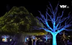 Rực rỡ lễ hội ánh sáng lớn nhất Tokyo