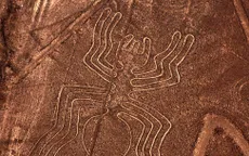 Phát hiện hơn 100 hình động vật được khắc trên đá ở sa mạc Peru