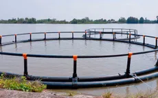 Lồng nuôi HDPE: Giải pháp nuôi trồng thủy sản bền vững