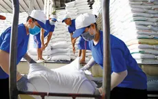 Tận dụng EVFTA mở rộng cơ hội xuất khẩu sang EU