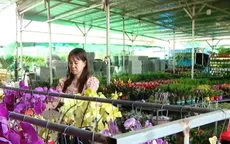 Không khí đón Tết của cộng đồng người Việt tại Campuchia