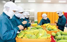 Năm 2023, nông sản hướng mục tiêu 54 tỷ USD xuất khẩu