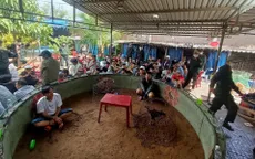 Triệt phá trường gà quy mô lớn tại TP Phan Thiết, tỉnh Bình Thuận