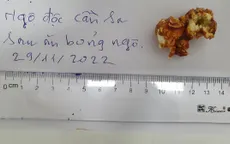 Ăn bỏng ngô nghi có tẩm cần sa, một phụ nữ bị ngộ độc phải nhập viện