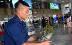 Khách gửi đào, mai qua đường hàng không dịp Tết cần lưu ý gì?