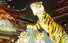 Năm Nhâm Dần mong con hổ xua tan đại dịch