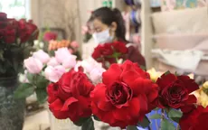 Giá hoa hồng Đà Lạt cho ngày Valentine tăng gấp từ 2 - 3 lần