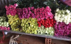 Hoa gì cũng tăng giá, hồng nhập khẩu tăng gần 50%