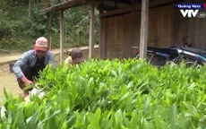 Hiệu quả giảm nghèo từ nguồn tín dụng chính sách