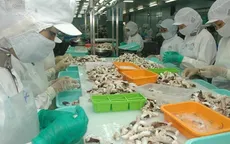 Hàn Quốc - thị trường nhập khẩu mực, bạch tuộc lớn nhất của Việt Nam
