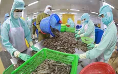 FTA: Trợ lực giúp xuất khẩu tăng tốc