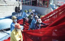 Nhiều ngư dân ăn Tết trên biển