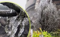 Băng giá phủ kín đỉnh Mẫu Sơn