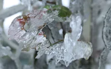 Băng tuyết phủ trắng đỉnh đèo Ô Quý Hồ