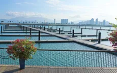 Hỗ trợ du lịch phục hồi thông qua nền tảng giao dịch trực tuyến Crystabaya