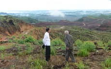 Thủ đô mới của Indonesia chỉ cho phép xe sử dụng năng lượng sạch