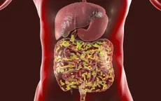 Sự quan trọng của chăm sóc sức khỏe đường ruột và chế độ ăn giàu chất xơ