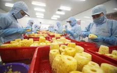 Xuất khẩu rau quả đón tin vui đầu năm