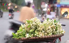 Hà Nội tháng 3 thơm ngát những gánh hoa bưởi