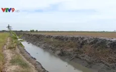 Sóc Trăng khẩn trương nạo vét thủy lợi nội đồng