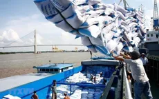 Nhiều nước ngừng xuất khẩu lương thực