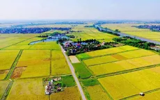 Chuyển mục đích sử dụng đất tại 4 tỉnh