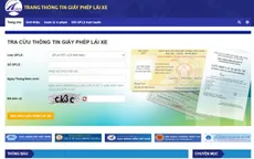 Cần xử lý trang thông tin giấy phép lái xe giả