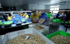 100 container điều xuất sang Italy có nguy cơ bị lừa: Bài học đắt giá cho nhà xuất khẩu Việt