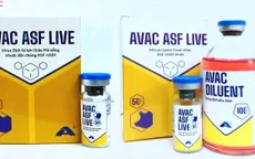 Việt Nam sẽ có vaccine phòng tả lợn châu Phi trong năm 2022