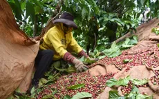 Cà phê rộng cửa xuất khẩu sang EU
