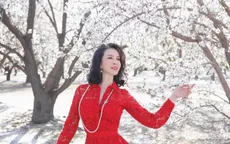 MC Thanh Mai khoe nhan sắc "không tuổi" giữa vườn hạnh nhân