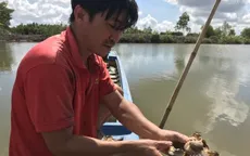 Tìm ra nguyên nhân cua biển Cà Mau chết bất thường