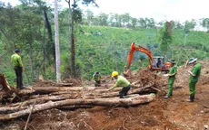Thêm gần 2 ha rừng bị tàn phá tại Lâm Đồng